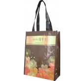NW162 立體手提袋（不織布袋）