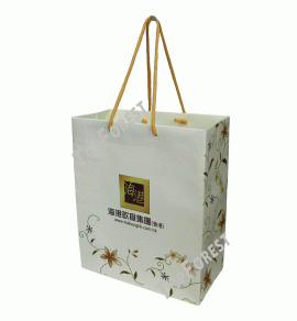 PA225 覆膜紙袋